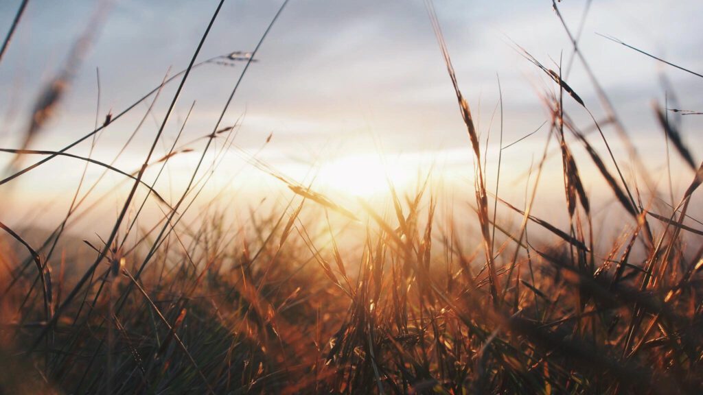 Moment of Truth - Niels Paulini